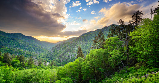 Smoky Mountains