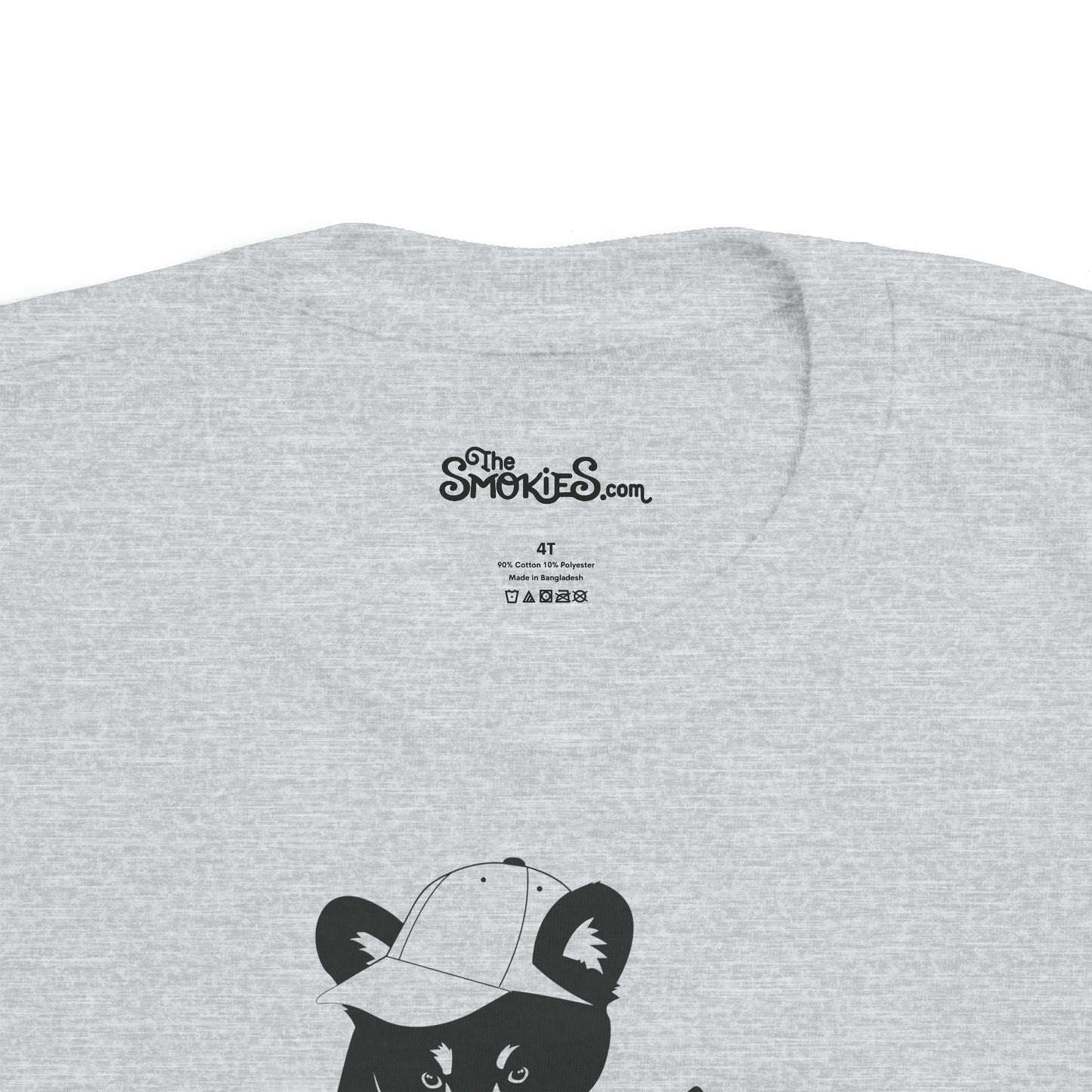 Toddler's Family T-Shirt - Bear Cub Gray (Boys)