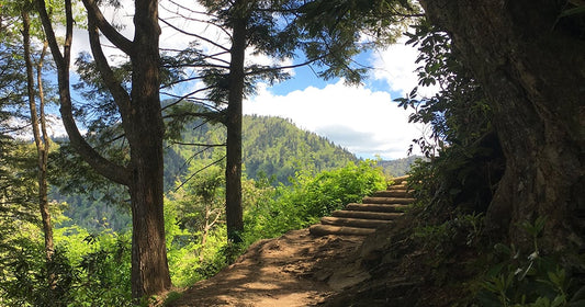 Chimney Tops Trail in the Great Smoky Mountains