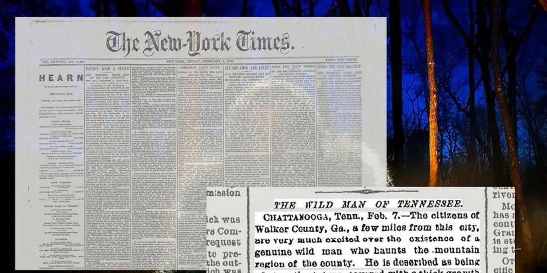 a clipping from the new york times overlaid on an image of a wild man by a campfire in the woods