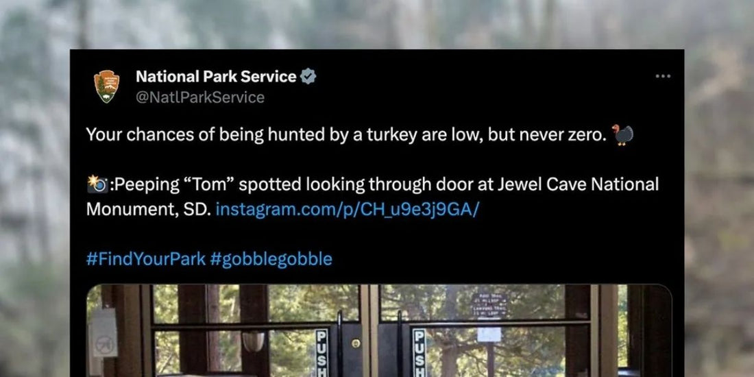 A Tweet/Xeet by the NPS reads "Your chances of being hunted by a turkey are low, but never zero." with the photo of a turkey staring straight into the camera from a windowed door