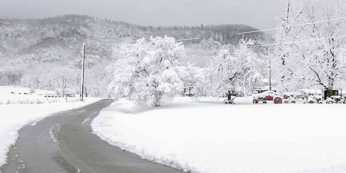 a snowy scene in tennessee with white coated mountains