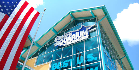 Ripleys Aquarium of the Smokies Exterior Shot